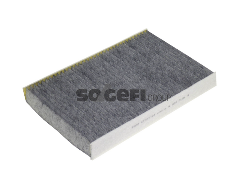 Fram Cabin / Pollen Filter - CFA11164