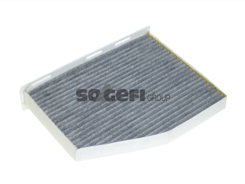 Fram Cabin / Pollen Filter - CFA11486