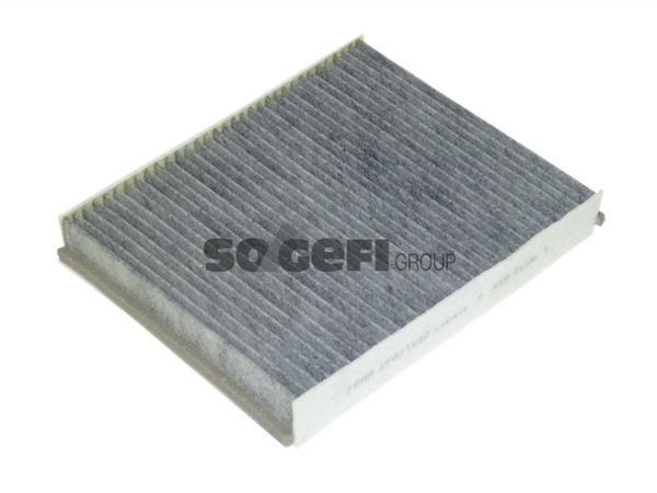 Fram Cabin / Pollen Filter - CFA11642