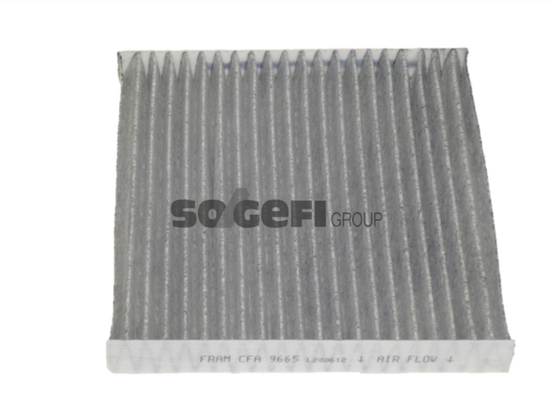 Fram Cabin / Pollen Filter - CFA9665