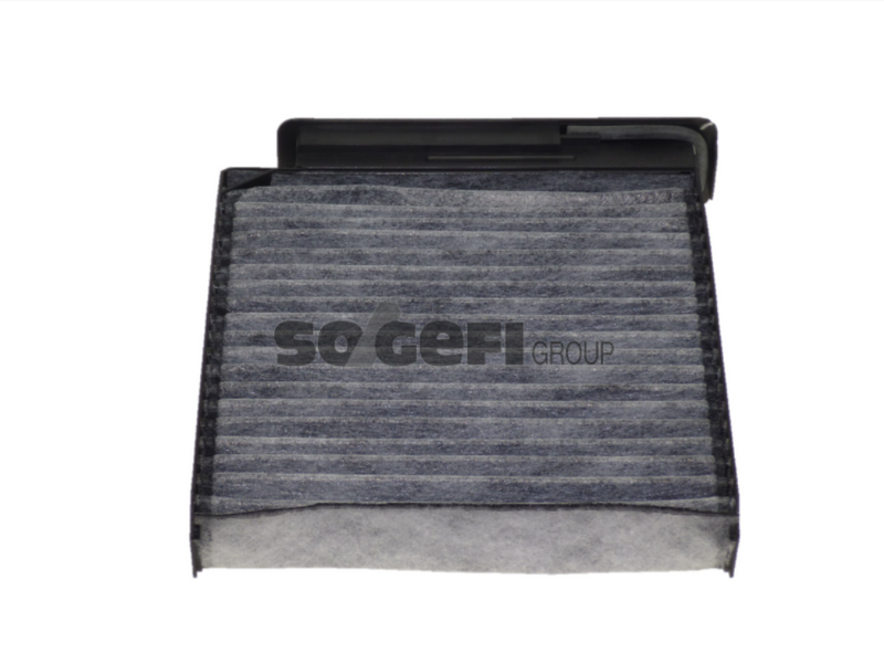 Fram Cabin / Pollen Filter - CFA9691