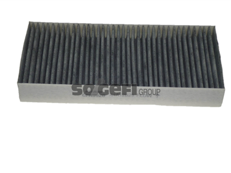 Fram Cabin / Pollen Filter - CFA9920