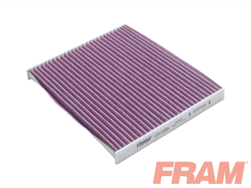 Fram Cabin / Pollen Filter - CFP10365