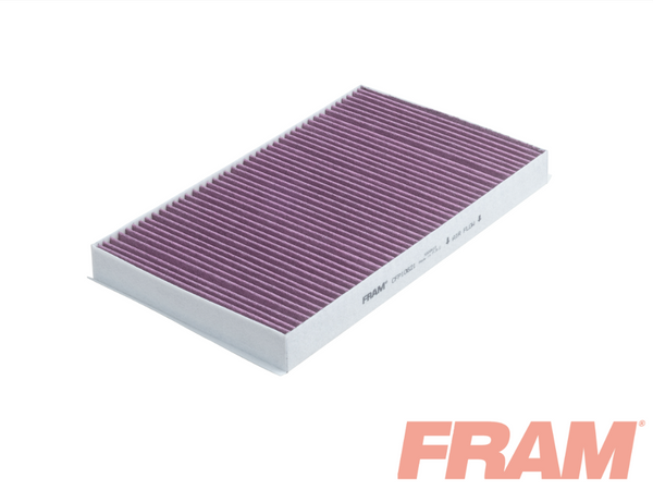 Fram Cabin / Pollen Filter - CFP10621