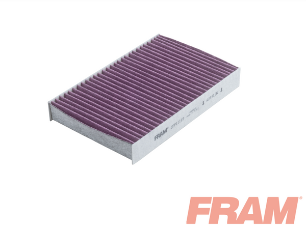 Fram Cabin / Pollen Filter - CFP11119