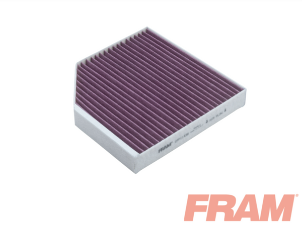 Fram Cabin / Pollen Filter - CFP11436