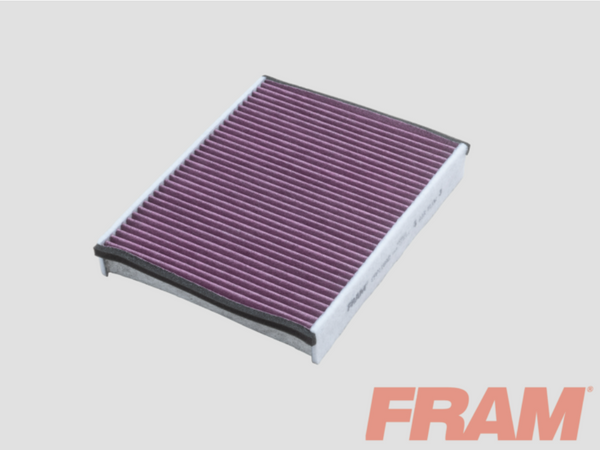 Fram Cabin / Pollen Filter - CFP11642