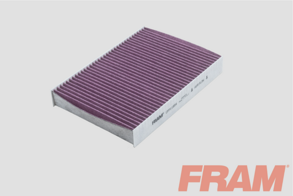 Fram Cabin / Pollen Filter - CFP11854