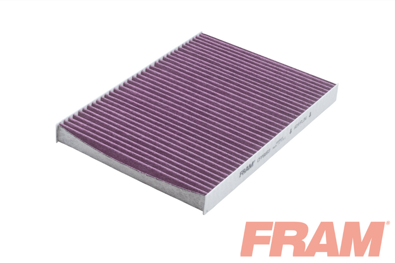 Fram Cabin / Pollen Filter - CFP8893