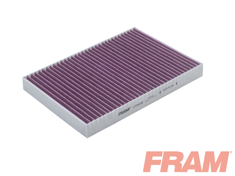 Fram Cabin / Pollen Filter - CFP9548