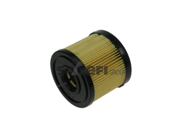 Fram Fuel Filter - CG8953ECO