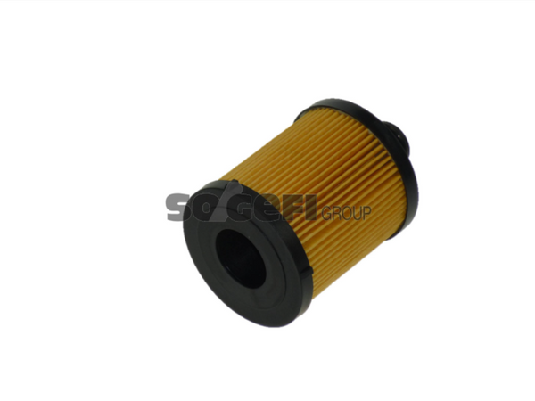 Fram Oil Filter - CH10047ECO