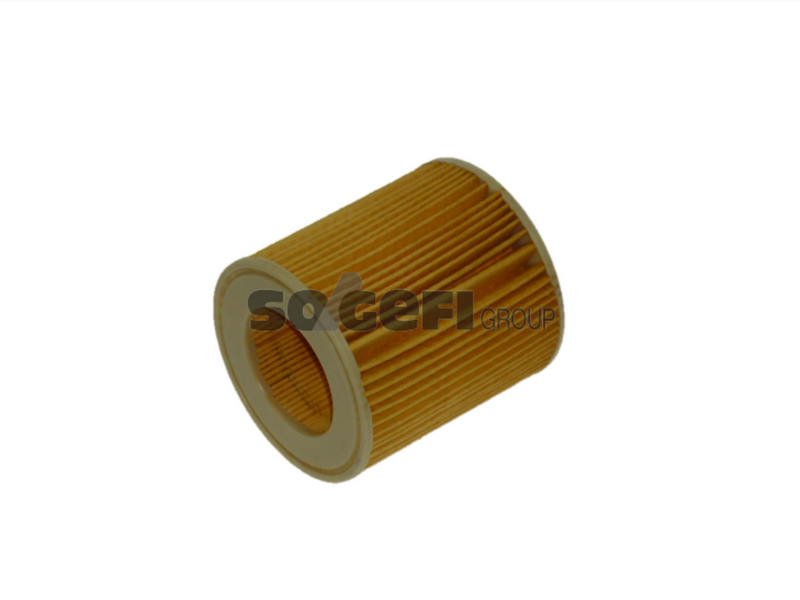 Fram Oil Filter - CH10075ECO