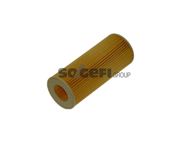 Fram Oil Filter - CH10160ECO