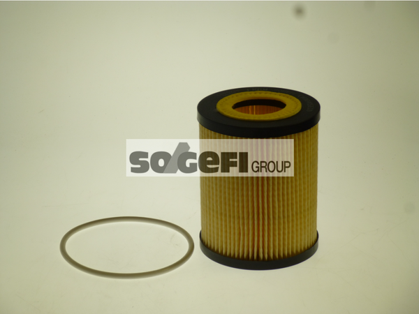 Fram Oil Filter - CH10415ECO