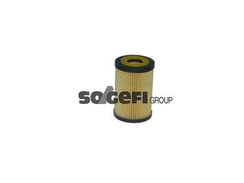 Fram Oil Filter - CH11675ECO