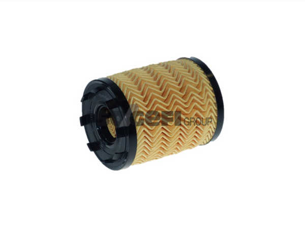 Fram Oil Filter - CH12038ECO