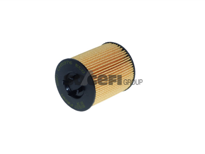 Fram Oil Filter - CH5976ECO