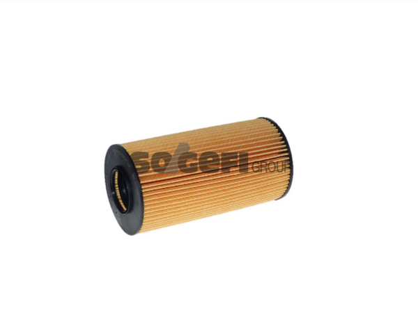 Fram Oil Filter - CH5979ECO