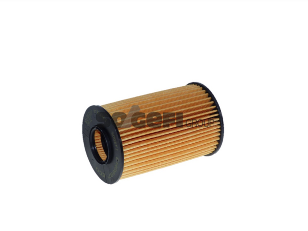 Fram Oil Filter - CH8087ECO