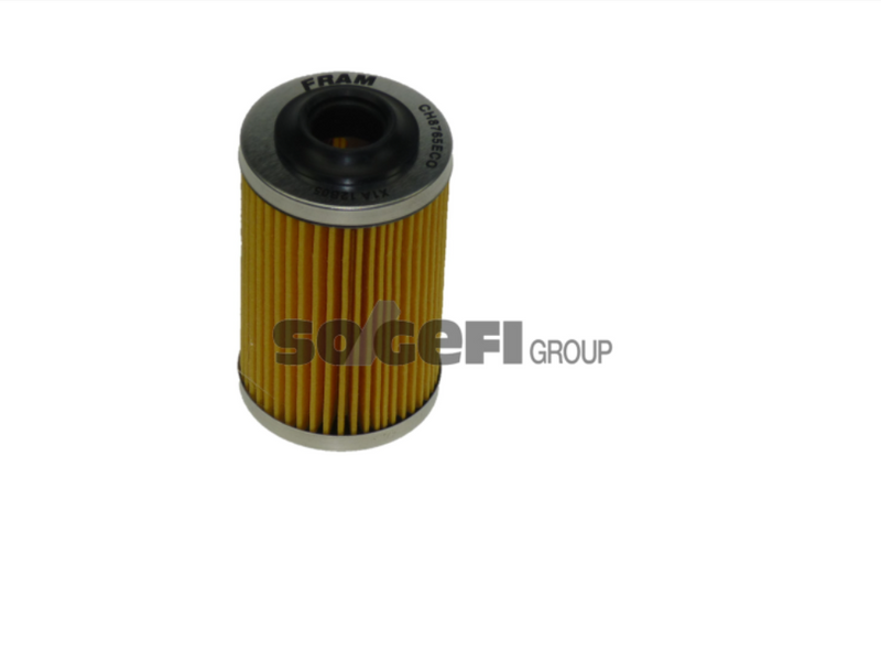 Fram Oil Filter - CH8765ECO