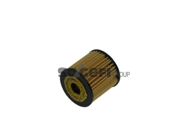 Fram Oil Filter - CH9024ECO