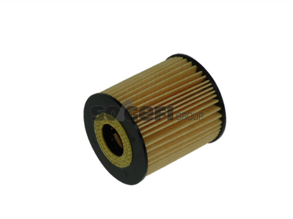 Fram Oil Filter - CH9348ECO