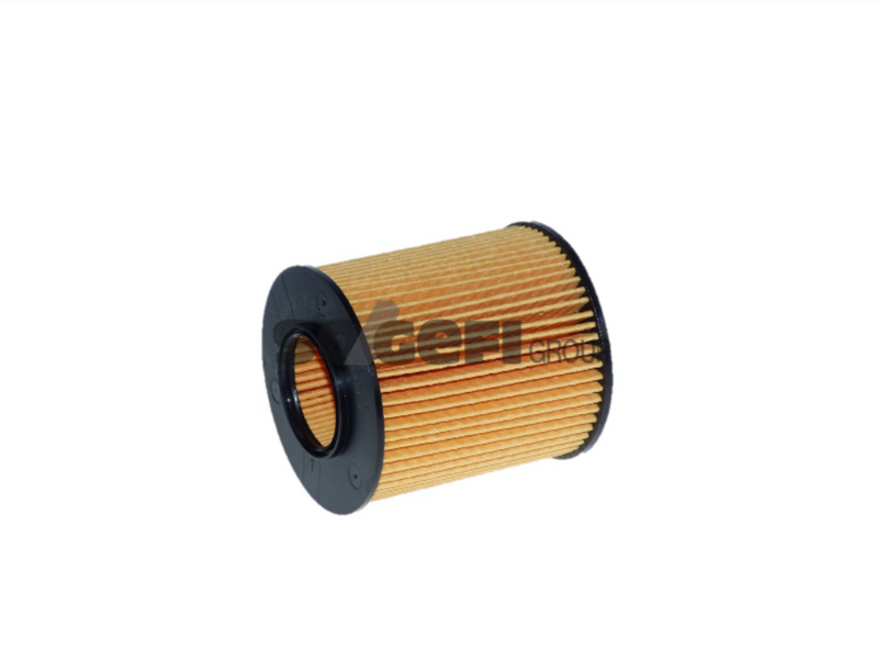 Fram Oil Filter - CH9547ECO