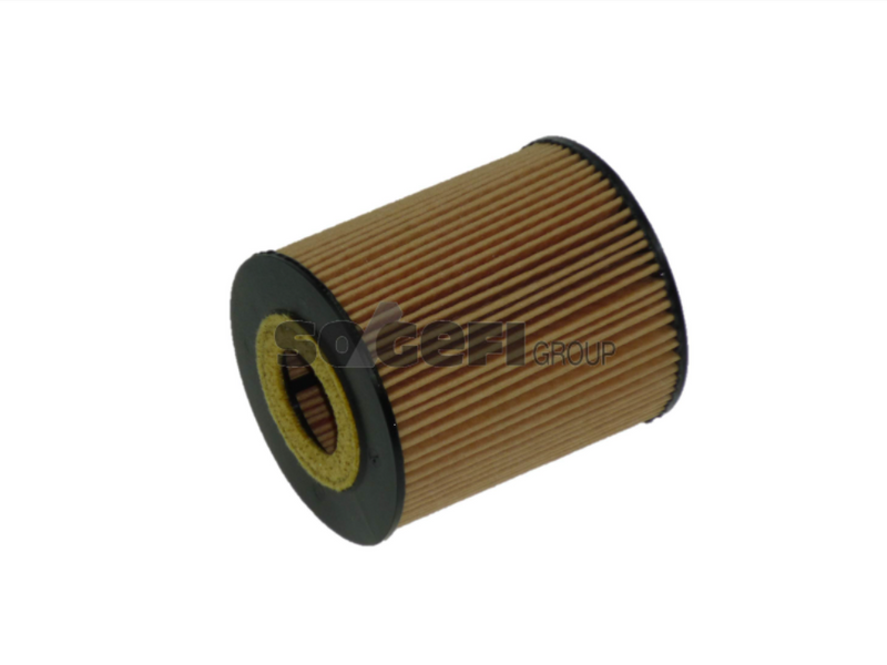 Fram Oil Filter - CH9584ECO