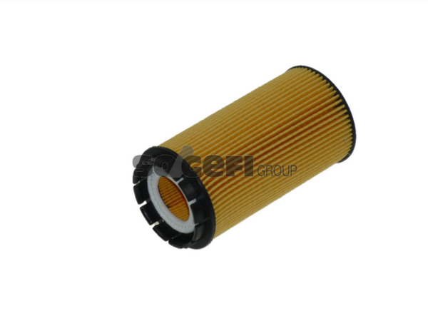 Fram Oil Filter - CH9685ECO