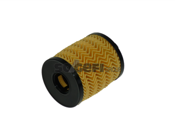 Fram Oil Filter - CH9713ECO