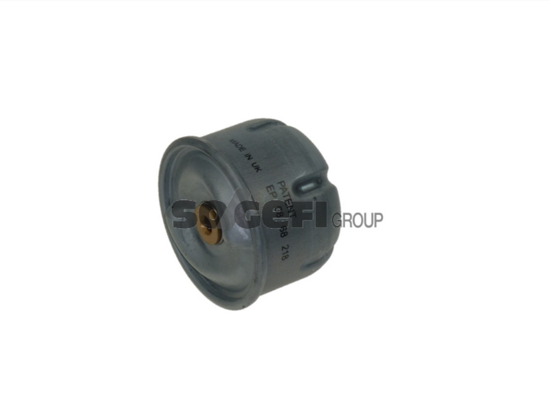 Fram Fuel Filter - P10291