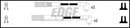 Edge Ignition Lead Set - EDG76121